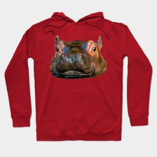 Cute baby Hippo Hoodie